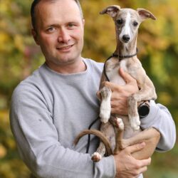 Cindy — TrueWhipp whippet