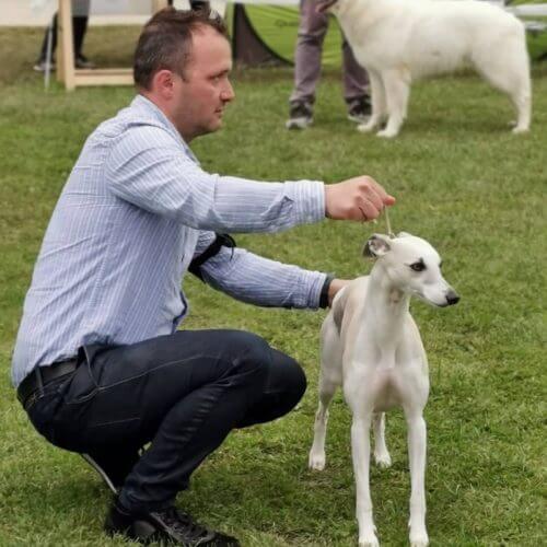 Whippet s kapo