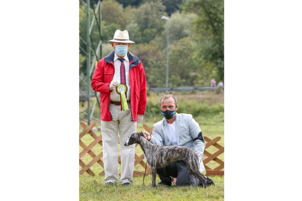 CAC Dolsko 2020 — Best in Show — Truewhipp